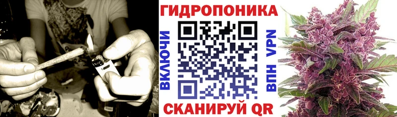 Бошки марихуана Amnesia Емва